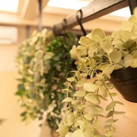 Duplex Vieux Nice, Proche Mer, Wifi, Clim