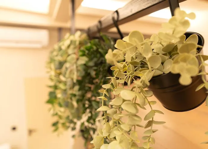 Duplex Vieux Nice, Proche Mer, Wifi, Clim